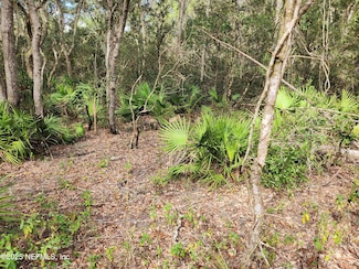 123 Chickasaw Place, Satsuma, FL 32189
