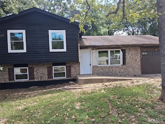 11247 Mapaville Hematite Rd, Festus, MO 63028