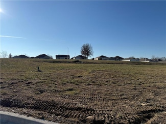 2213 Creek View Ln, Raymore, MO 64083
