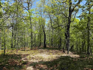 Off Falling Tree Ln, Flippin, AR 72634