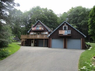 13402 S Birch St, Wolverine, MI 49799