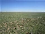 23 Palomino Dr, Moriarty, NM 87035