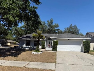 1710 Tallowtree Cir, Valrico, FL 33594