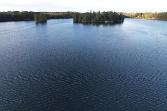 13116 Stone Lake Ln, Manitowish Waters, WI 54545