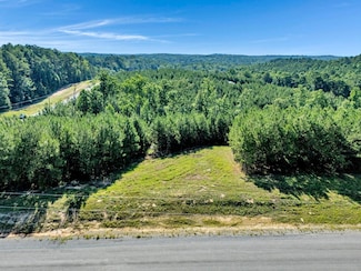 LOT 67 Shoreside at Sipsey, Double Springs, AL 35553