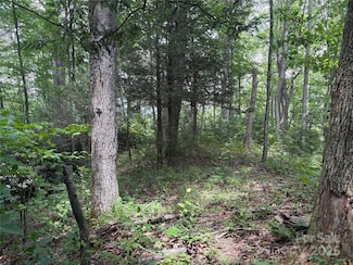 00 Early Frost Place Unit 98, Waynesville, NC 28785