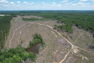0 Mitchell Rd, Greenville, AL 36037