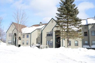 46 Stewart Ln Unit P-303, Ludlow, VT 05149
