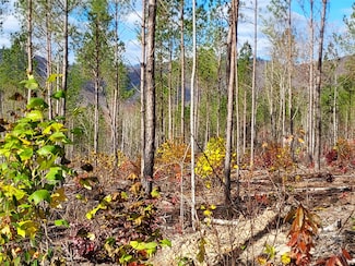 0 Bobby McKinney Rd, Union Mills, NC 28167