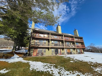 16 Grizzly Way, Davis, WV 26260