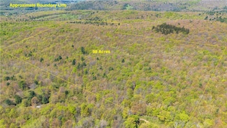 0 Sanly Rd, Sidney Center, NY 13839