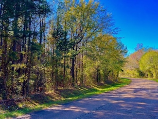 1000 Old Sylvarena Rd, Wesson, MS 39191