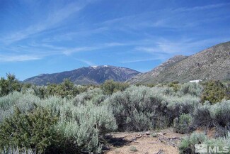 19 Sunrise Trail, Markleeville, CA 96120