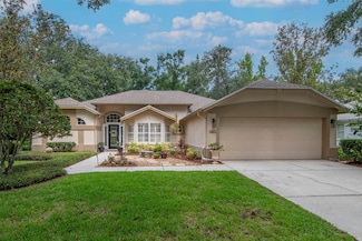 3821 Turkey Oak Dr, Valrico, FL 33596
