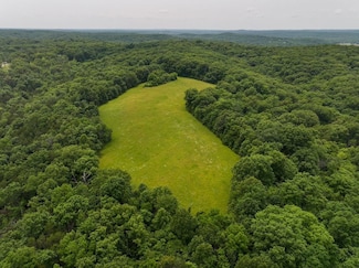 Off Clayton Huskey Road Lot Unit WP001, Hillsboro, MO 63050