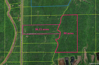 32954 Kingbird Ln, Carp Lake Township, MI 49953