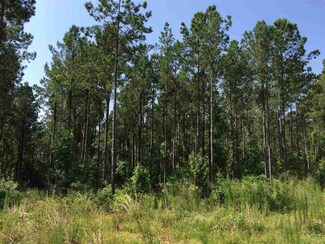 001 Mt Zion Church Rd, Lake, MS 39092