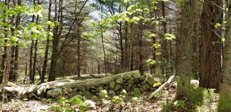 0 Mcadam Rd, Westmoreland, NH 03467