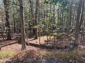 Lot 35 Westcolang Rd, Lords Valley, PA 18428