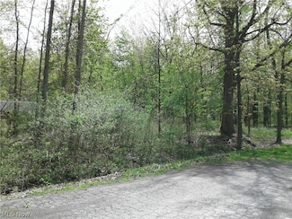 0 Kenilworth Ave, Sheffield Lake, OH 44054