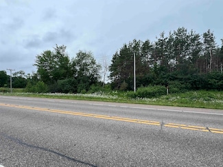 Lot 11 State Highway 45, Wittenberg, WI 54499