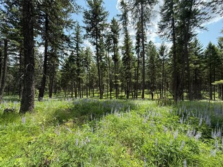 NHN N Kootenai Dr, Troy, MT 59935
