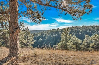 24611 Whitetail Ridge Rd, Hermosa, SD 57744