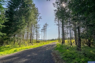 2333 Crooked Finger Rd NE, Scotts Mills, OR 97375