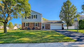 1129 Alden Ln, Buffalo Grove, IL 60089