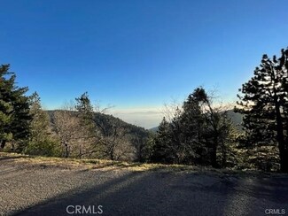 0 Peak Cir Unit HD24086567, Cedarpines Park, CA 92322