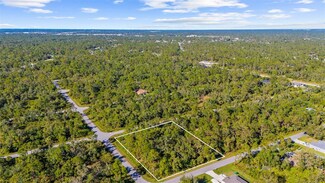 1416 & 1426 Calico Ln, Port Charlotte, FL 33953