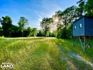0 Hack's Rd, Leakesville, MS 39451