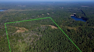 V/L S Spruce, Newaygo, MI 49337