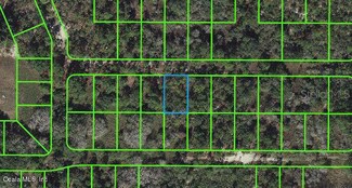 225 Tannery Ln, Lake Placid, FL 33852