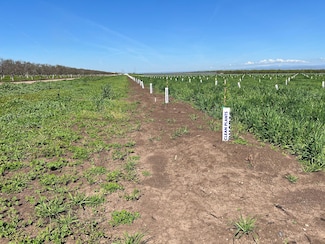 0 Cana Hwy Unit 19820640, Chico, CA