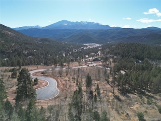 13 Blue Haven Place Unit 13, Woodland Park, CO 80863