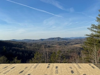 7 Salt Lick Ln, Brasstown, NC 28902