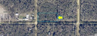 10730 Turpin Ave, Hastings, FL 32145