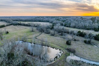3779 N Us Highway 287, Palestine, TX 75803