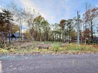 62747 Braun Dr, Washington, MI 48094