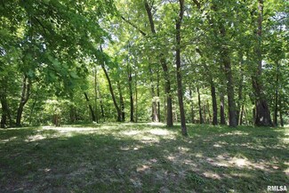 1103 Shagbark Ln, Metamora, IL 61548