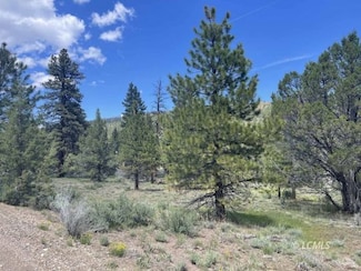 0 Hwy 140 E Unit 3007319, Lakeview, OR 97630