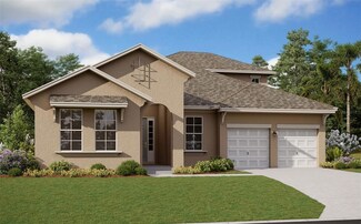 17350 Crisp Apple Ln, Land O Lakes, FL 34638