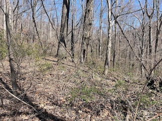 182 Old Mountain Pass, Hendersonville, NC 28792