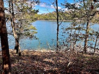 28190 Willow Ln, Roaring River Township, MO 65641