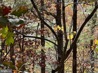 0 Brenda Ln Unit VASH2012808, Basye, VA 22810