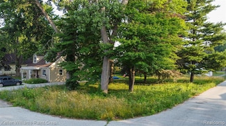 00 Liddle St, Brownstown Charter Township, MI 48183