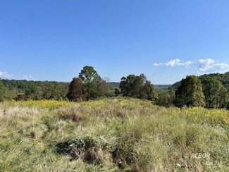 0 Mountain Bell Rd Unit 2434025, Coolville, OH 45723