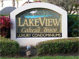 4201 Woodstorks Walk Way Unit 3101, Lutz, FL 33558