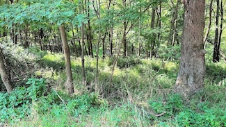 58 Redhawk Trail, Lake Delton, WI 53913